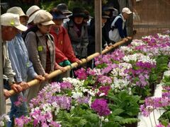 �O�≀�@�����炻���W�̎ʐ^1