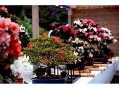 �O�≀�@�����~�͓W�̎ʐ^1