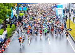 ���l�}���\��2026�̎ʐ^1