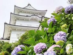 ���c���邠�������ԏҊ��܂�̎ʐ^1