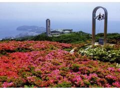 �����R�����@�����̋��̎ʐ^1