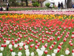 �悱�͂܉ԂƗ΂̃X�v�����O�t�F�A�̎ʐ^1