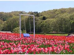 ���c�z��u�ˌ����@�`���[���b�v�܂�̎ʐ^1