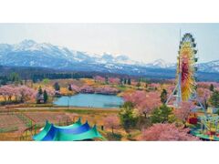 �����T���V���C�������h�̍��̎ʐ^1