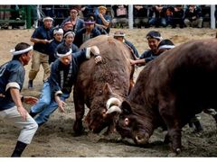 �����⋍�̊p�˂��̎ʐ^1