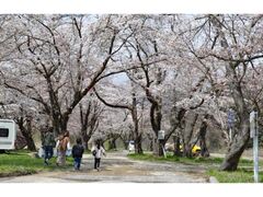 �i�َR�����̍��̎ʐ^1