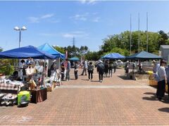 �t�H�b�T�}�O�i�~���[�W�A���@�s�������̎ʐ^1