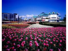 �V���ӂ邳�Ƒ��@�`���[���b�v�t�F�X�e�B�o���̎ʐ^1