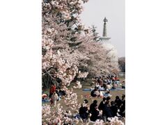 �H�t�����̍��̎ʐ^1