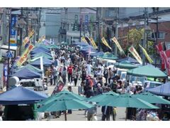 �ނ��ʂ�y�g���s�̎ʐ^1