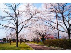 �^������̍��̎ʐ^1