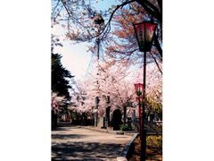 �D�������̍��̎ʐ^1