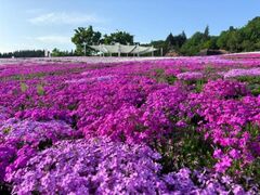 �����ō��܂�̎ʐ^1