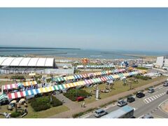 �����킴�����̐w�̎ʐ^1