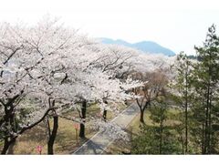 ���R�����̍��̎ʐ^1