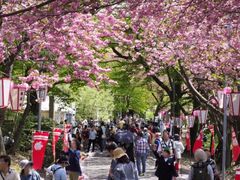 ���肩�疲�X���E�H�[�N�E����VS�z���̌�����j��������̎ʐ^1