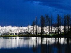 ���ʊJ���u������܂�v�̎ʐ^1