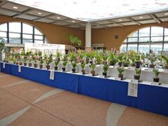 �t�̃����W�̎ʐ^1