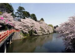 �������܂�̎ʐ^1