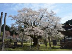 �����̑���̎ʐ^1