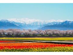 �����ЏM��u�t�̎l�d�t�v�̎ʐ^1