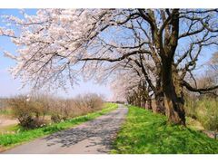 �_�ʐ삳�����E���̐�{���̎ʐ^1