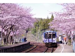 �\�o������w�i�\�o�����w�j�̍��̎ʐ^1