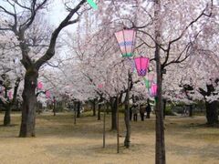 ��������̍��̎ʐ^1