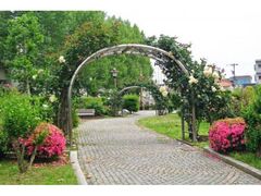 ����s�o���s�s�����@�o���i�t�j�̎ʐ^1