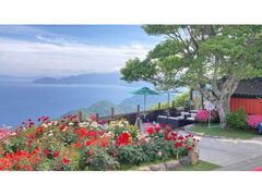 ���C���{�[���C���R�������@�o�����̎ʐ^1