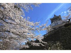 �z�O����̍��̎ʐ^1