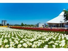 ���t�F�X�^�̎ʐ^1