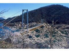 �㓪�����{������̎ʐ^1