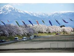 �ٓV�����؂̎ʐ^1