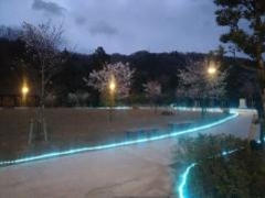 ���������̍��̎ʐ^1