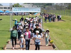 �ዷ�E�O���܌΃c�[�f�[�}�[�`�̎ʐ^1