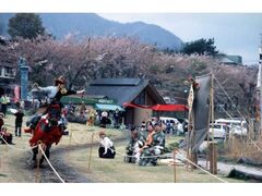 �b��̏��R��Ԃ��ߍՂ�̎ʐ^1