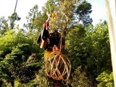 ���؂�Ղ�̎ʐ^1