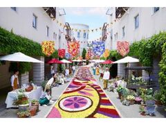 ��L�̉ԍ炭���]�i�[��2026�̎ʐ^1