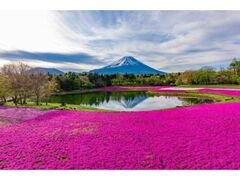 �x�m�ō��܂�̎ʐ^1