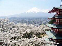 �V�q�R��Ԍ����̍��̎ʐ^1