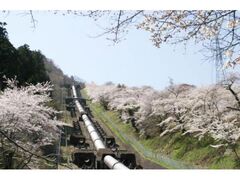 �������d���̍��̎ʐ^1