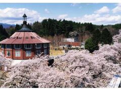 ���t�|�p���̍��̎ʐ^1