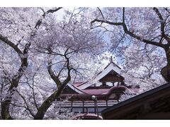 �����隬����������Ղ�̎ʐ^1