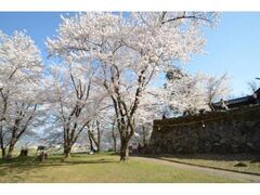 �юR�隬�̍��̎ʐ^1