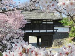 �����隬�@���É��@���܂�̎ʐ^1