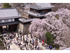 ��23���c���{���܂�̎ʐ^1