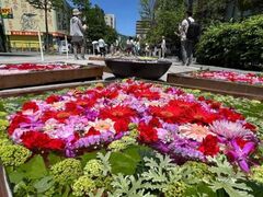 �P�����ԉ�L�@�|�Ȃ��̉ԃt�F�X�^�|�̎ʐ^1