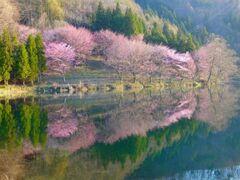 ���j�΂̍��̎ʐ^1