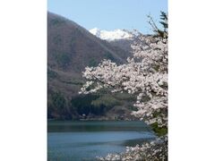 �؍�΂̍��̎ʐ^1